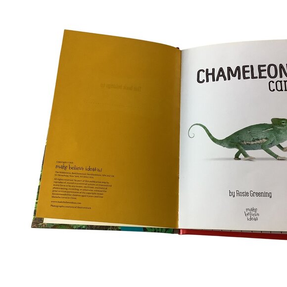 Chameleon Can Hardcover Childrens Book By Rosie Greening Kindergarten Reading To - Picture 3 of 7